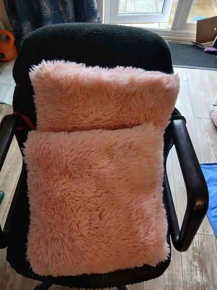 Photo of free Cushions (L26) #1