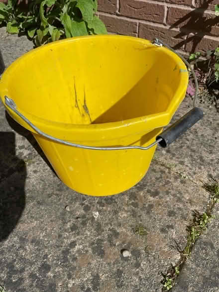 Photo of free Bucket (Wallands Park BN7) #1