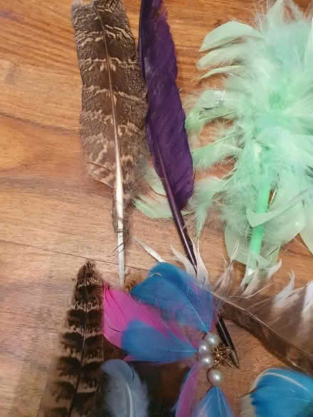 Photo of free Assorted craft bits - Feathers Ribbons Tape Pipe-cleaners (Hungerford RG17) #3