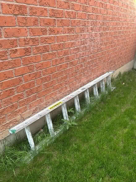 Photo of free ladder (Elgin Mills/Bayview) #1
