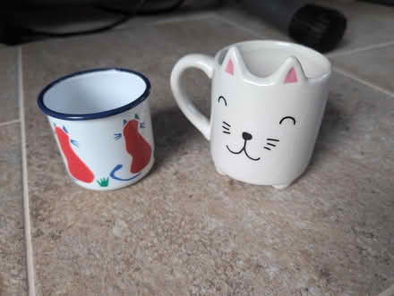 Photo of free 2 cat mugs (Worcester WR5) #1