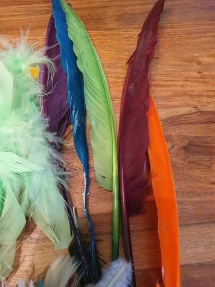 Photo of free Assorted craft bits - Feathers Ribbons Tape Pipe-cleaners (Hungerford RG17) #1
