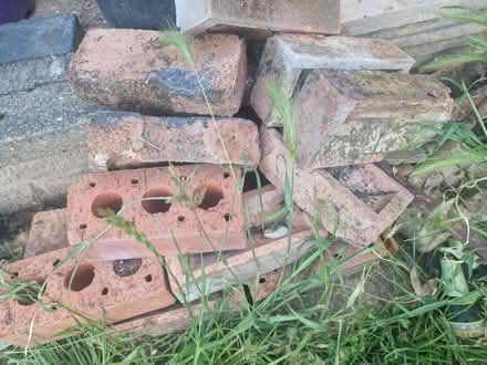Photo of free 50 whole bricks (Rochford SS4) #1
