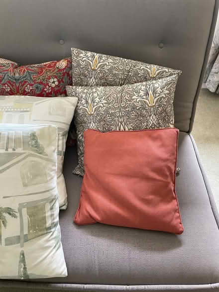 Photo of free Cushions (Bosham PO18) #2