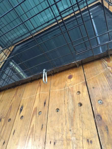 Photo of free Medium dog crate (Fiveways, Brighton) #3