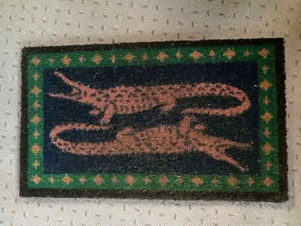 Photo of free Door mat (Welwyn) #1