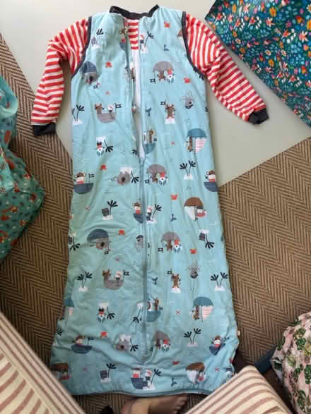 Photo of free x4 child 2.5 tog sleeping bags (South Kensington W8) #4