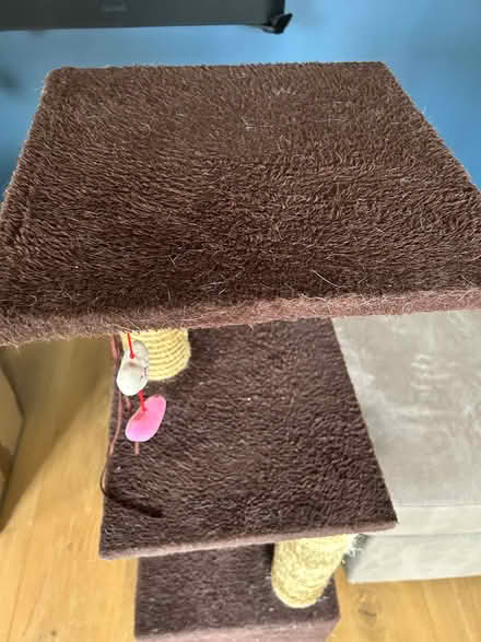 Photo of free Cat scratching tower (Ifold RH14) #3
