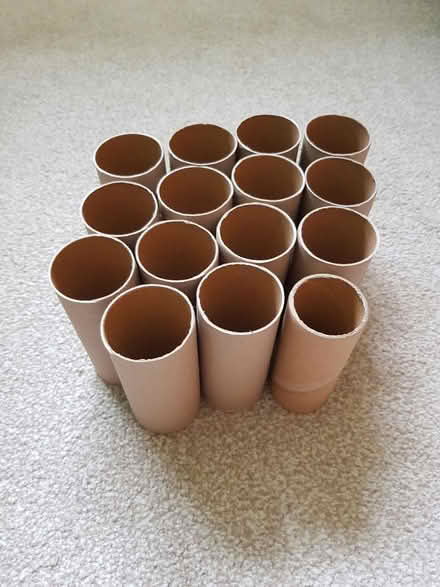 Photo of free 15 Empty Toilet Rolls (North Abingdon, OX14) #1
