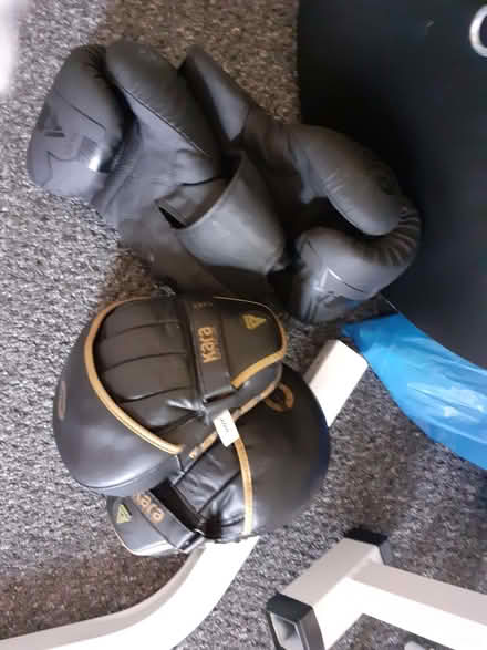 Photo of free Freestanding Punchbag Stand (Pinxton NG16) #2