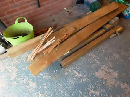 Photo of free One year old wood (Sidmouth EX10) #3