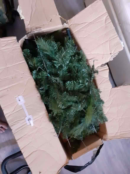 Photo of free 7ft Christmas Tree (Pinxton NG16) #1