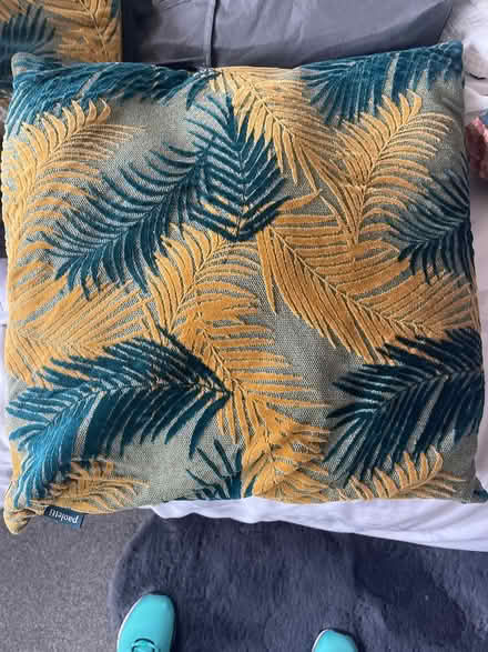 Photo of free Cushions (Sholing Southampton) #1