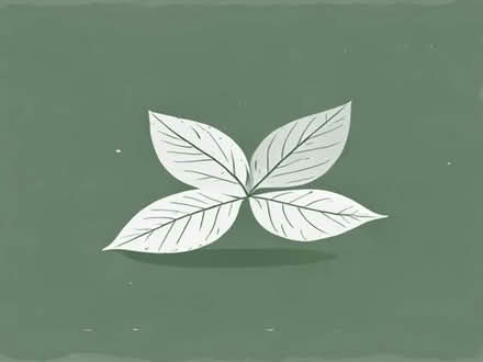 Photo of free Bay leaves (Little Welland WR13) #1