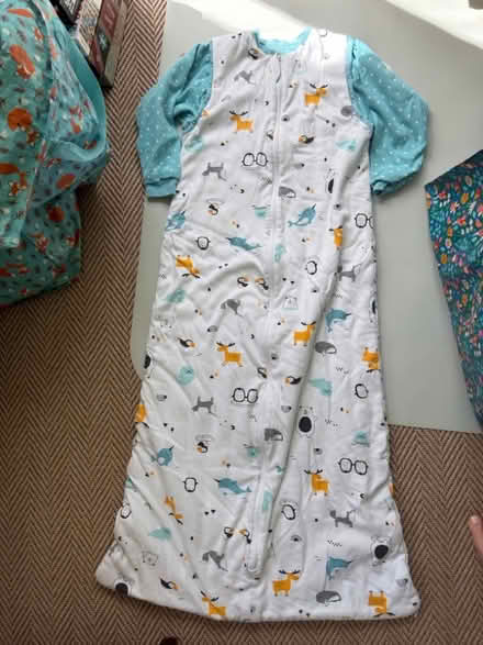 Photo of free x4 child 2.5 tog sleeping bags (South Kensington W8) #1