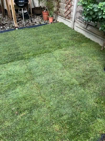 Photo of free 2.5 rolls of Rolawn Medallion Turf (West Ham E16 4NP) #2