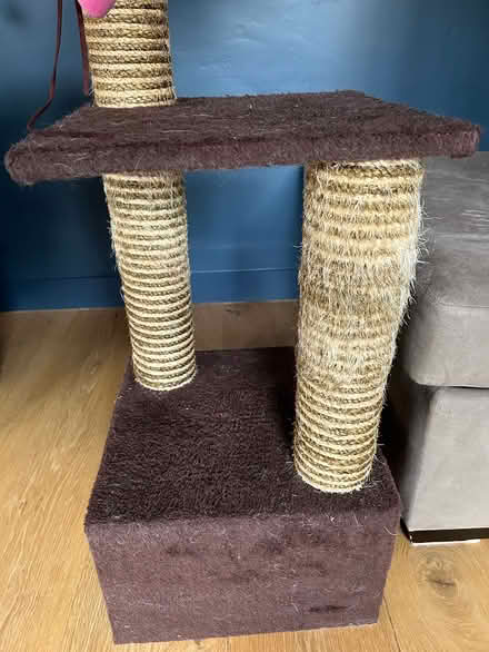 Photo of free Cat scratching tower (Ifold RH14) #4