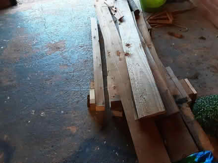 Photo of free One year old wood (Sidmouth EX10) #2