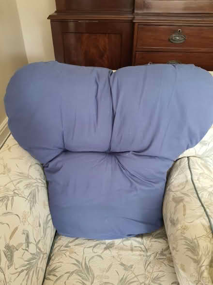 Photo of free Back support cushion (Stroud central) #1