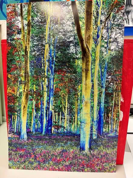 Photo of free Photograph of woods (Baffins PO3) #1
