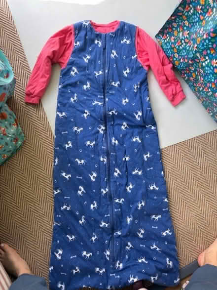 Photo of free x4 child 2.5 tog sleeping bags (South Kensington W8) #2