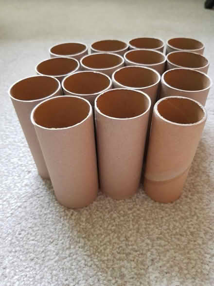 Photo of free 15 Empty Toilet Rolls (North Abingdon, OX14) #2