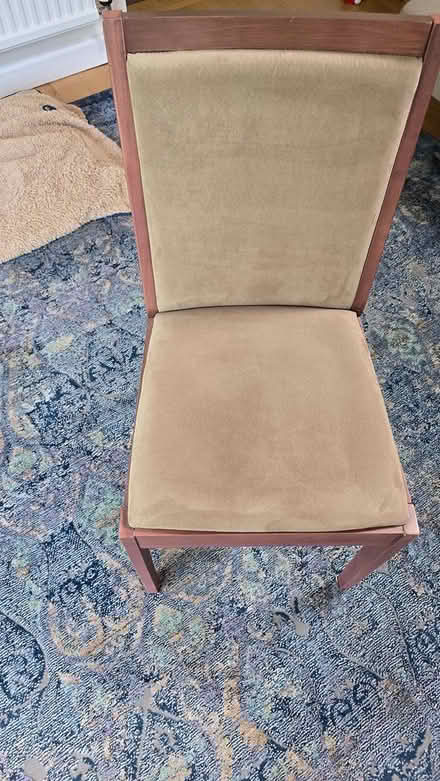 Photo of free 2 Dining chairs (Stonehouse GL10) #1