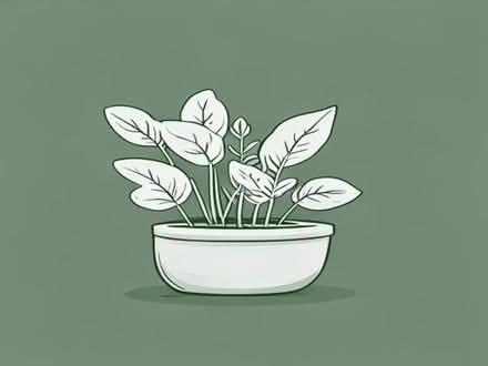 Photo of Plants indoor nd out door (Berryfields HP18) #1