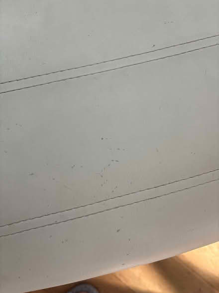 Photo of free 4 cream/off white solid chairs (Orpington br6) #2