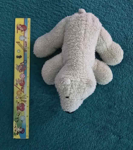 Photo of free Polar Bear Stuffy (West 7th) #2