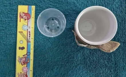 Photo of free Tiny Plant Pot (West 7th) #4
