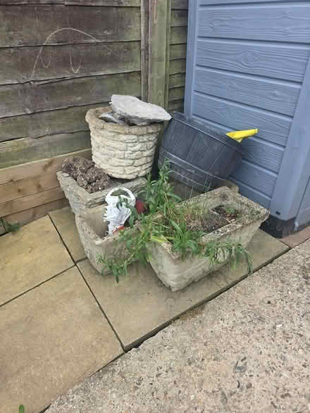 Photo of free Concrete plant pots plus 1 plastic (Rolvenden TN17) #1