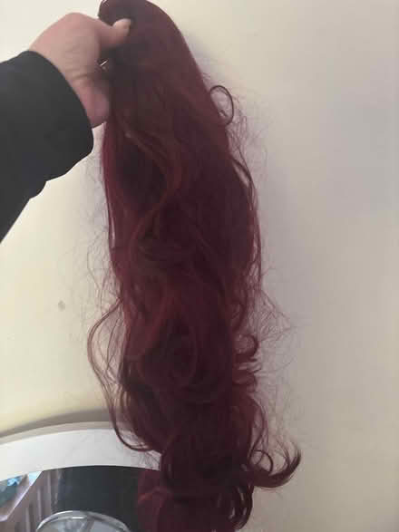 Photo of free Lullabelle clip in pony tail (Kings norton B38) #1