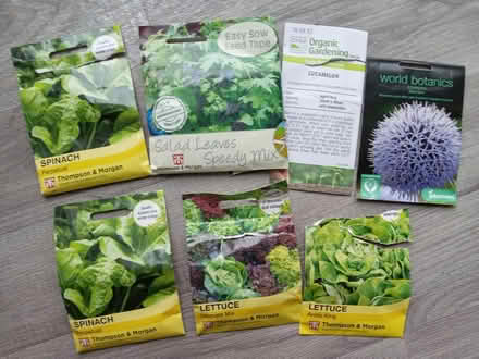 Photo of free Seeds (Pilrig EH6) #1