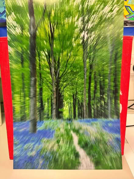 Photo of free Illusion photo of bluebell woods (Baffins PO3) #1