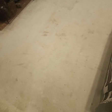Photo of free Very large carpet (Langley SL3) #1
