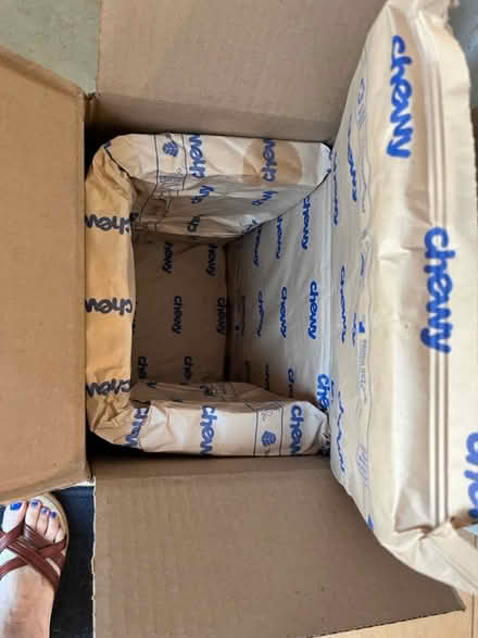 Photo of free Chewy cold shipping & cold packs (21770) #1