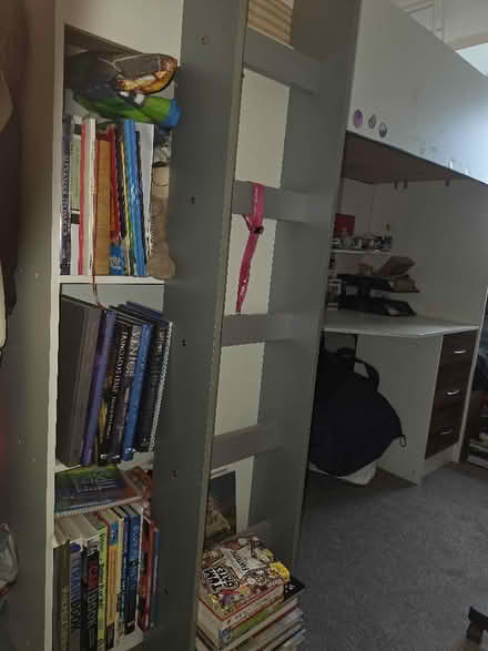 Photo of free bunk bed (Hartington Road BN2) #1