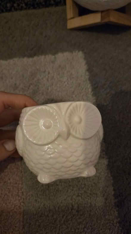 Photo of free Plant pot (Stoke newington) #2