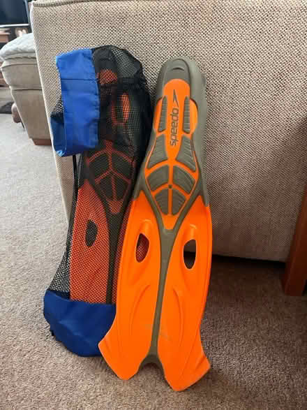 Photo of free Flippers (Hemel Hempstead) #2