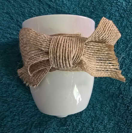 Photo of free Tiny Plant Pot (West 7th) #1