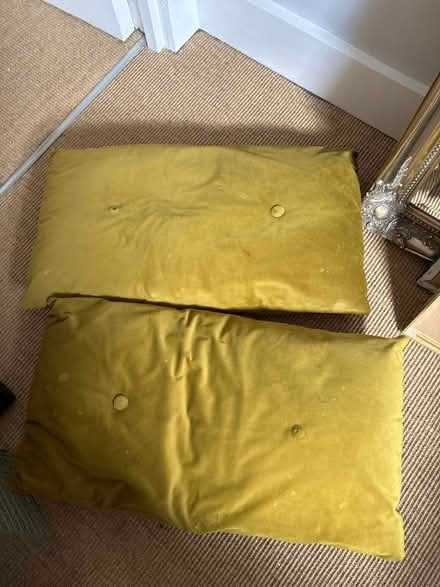 Photo of free Velour cushions (E17) #1