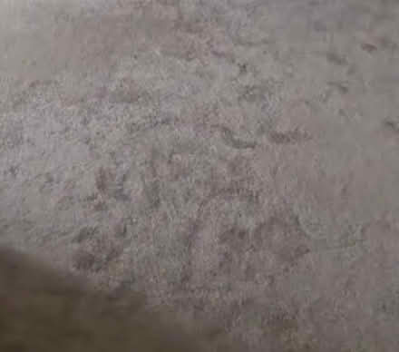 Photo of free Very large carpet (Langley SL3) #3
