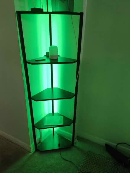 Photo of free Tall freestanding corner shelf unit (N5 Highbury) #1