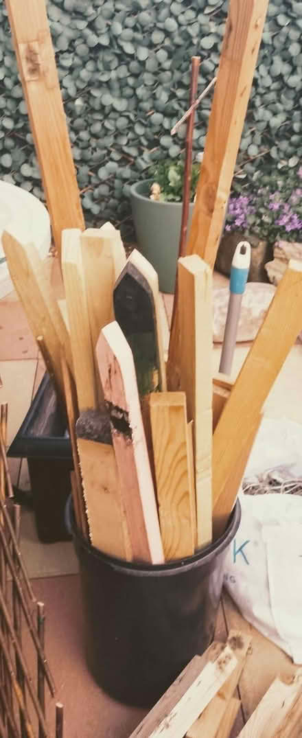 Photo of free Wood (Cardiff cf102ez) #3