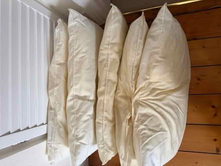 Photo of free Used pillows x 5 (Salford M30) #1