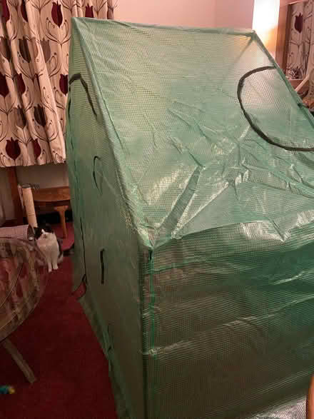Photo of free 6ft x 6ft Plastic Greenhouse (Carlisle CA1) #2