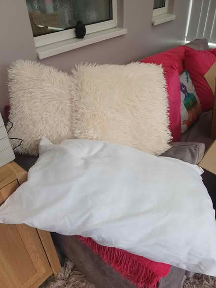 Photo of free 2x cushions and pillow (Elstow MK42) #1