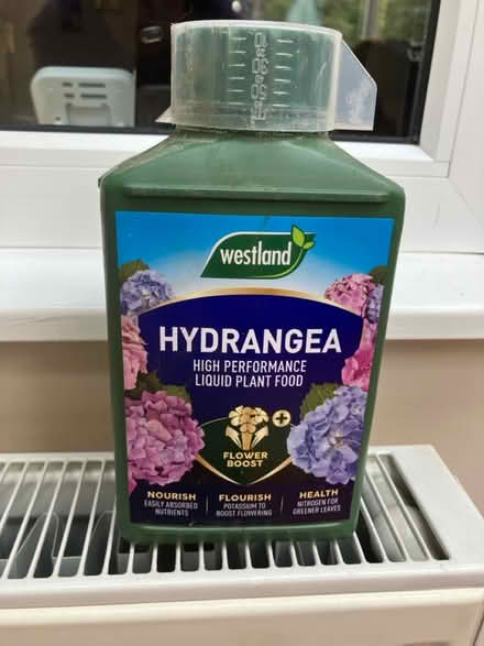 Photo of free Hydrangea liquid feed (Ickenham) #1