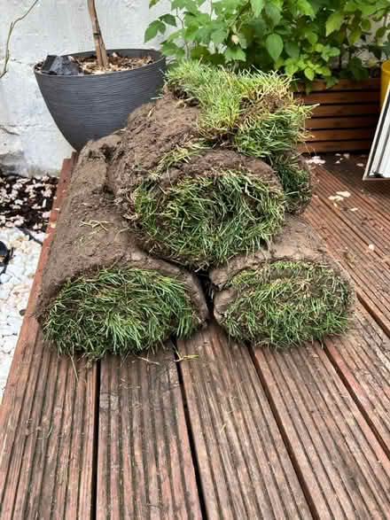 Photo of free 2.5 rolls of Rolawn Medallion Turf (West Ham E16 4NP) #1